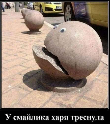 file_83454003