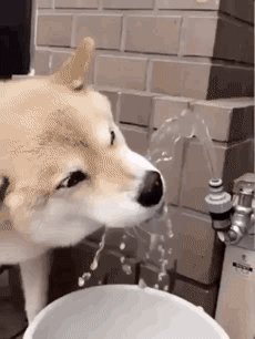 Не могу, когда смотрю это всё время улыбаюсь