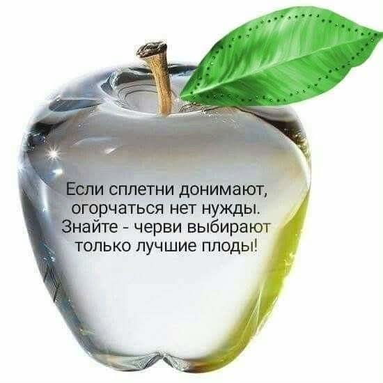 FB IMG 1743608617139