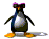 pingu