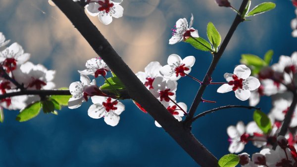 file_80684993