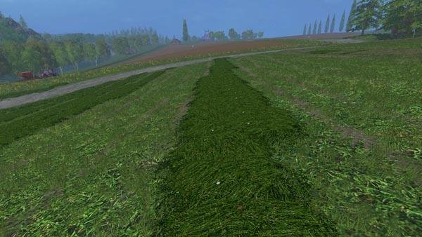 Gras-Schwad