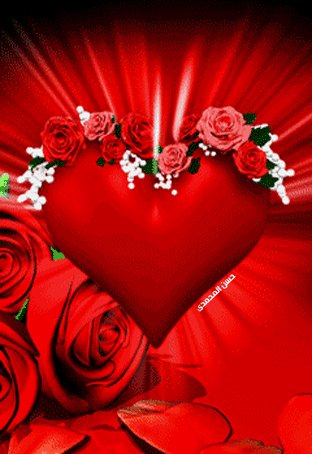 file_74408288