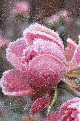 file_95720828