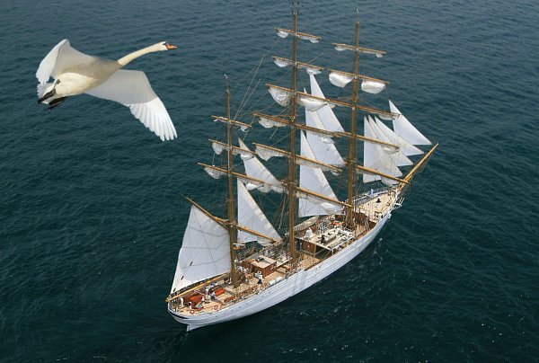 IMG 20221002 viter59 7