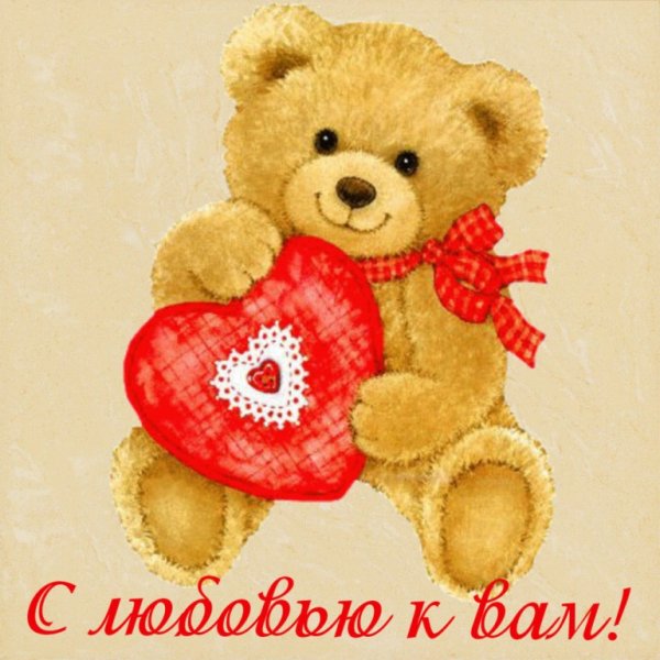 IMG 20171130 063341 61