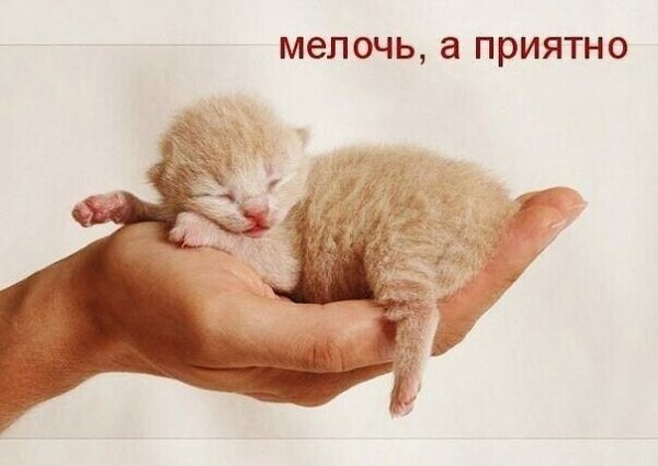 file_89320981