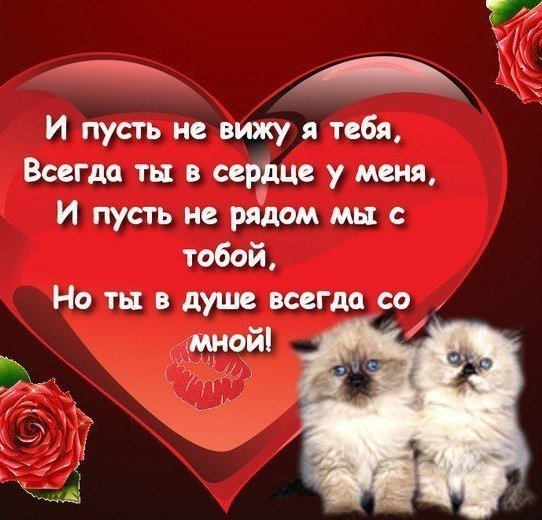 Q3TMIx5 36I