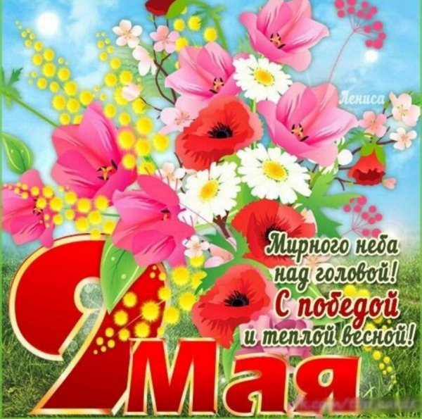 9 Мая