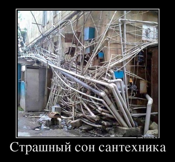 file_64262364