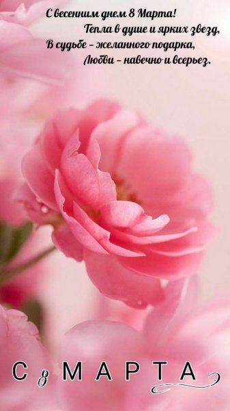 file_89899912