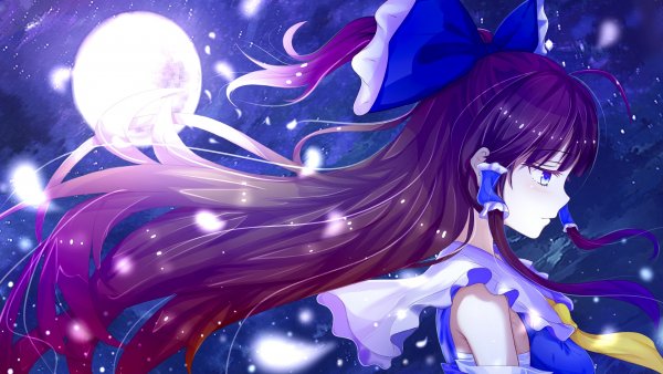 Guanghe Zuoyong de de Yezi - Hakurei Reimu. Touhou