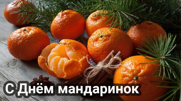 file_95470579