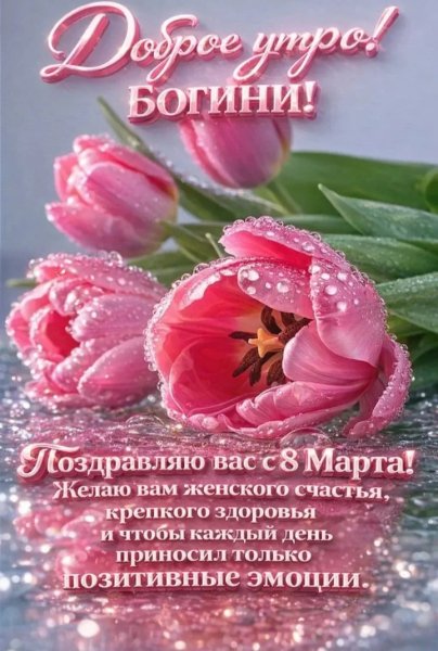 IMG 20260313 203724