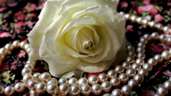 Image (12)