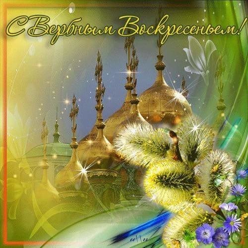 IMG 20170409 151622 0