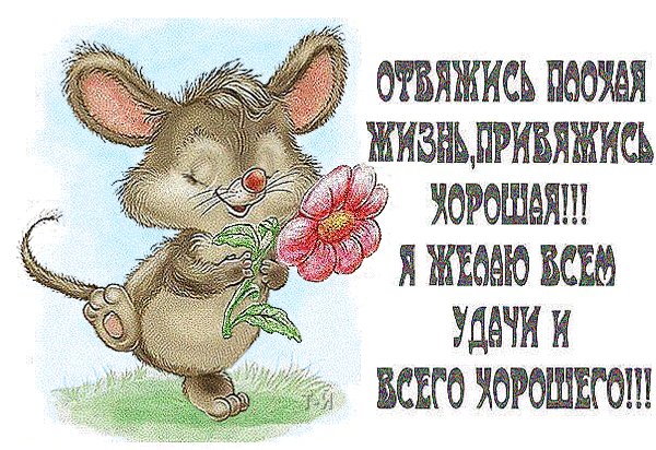 file_57484160
