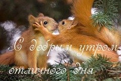 С добрым утром