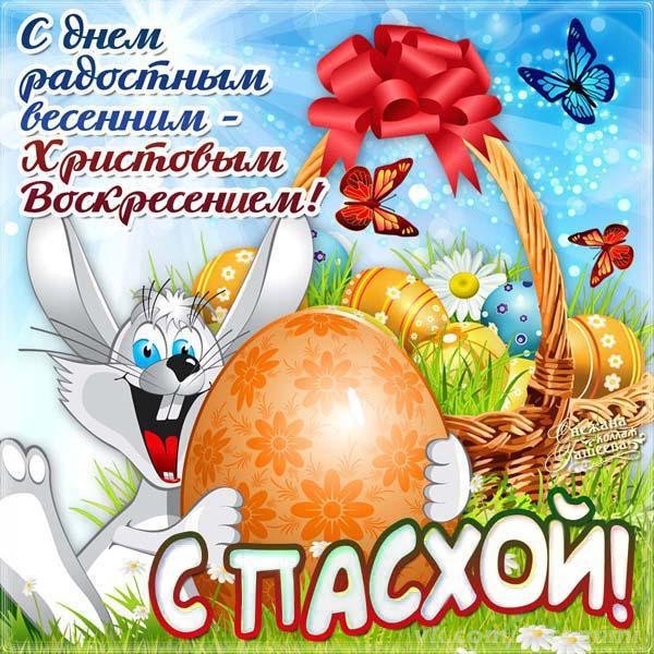 file_84185709
