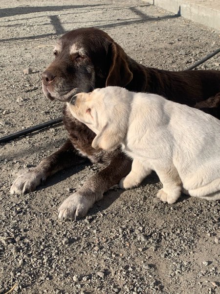 UHVRDVVTHBHVC4VHSQAU