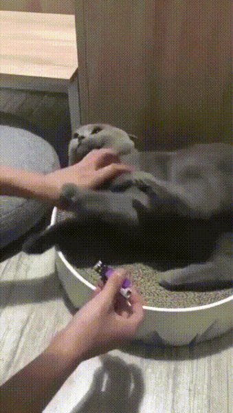 Мотивация)