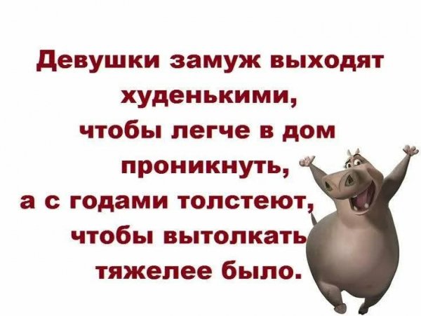 FB IMG 1762248137190
