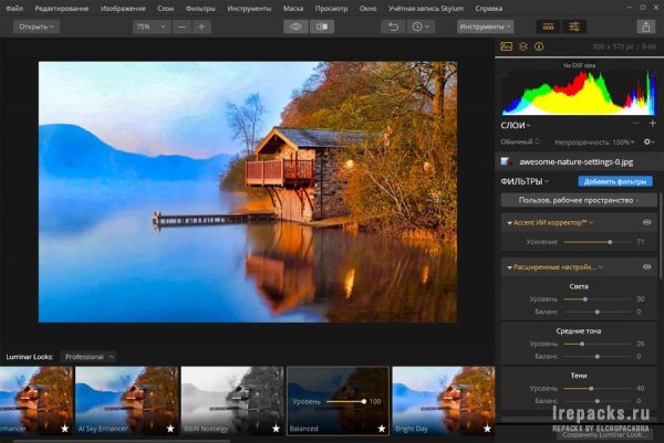 Skylum Luminar Flex 1.1.0.3435 (Repack &amp; Portable)