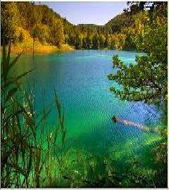 ruskaya ribalka mod240x320