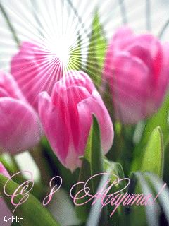 file_61865684