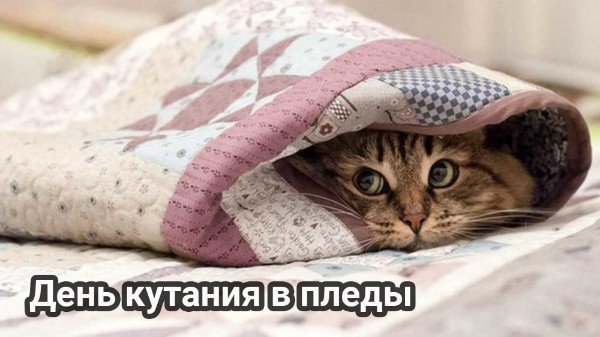 file_94894067