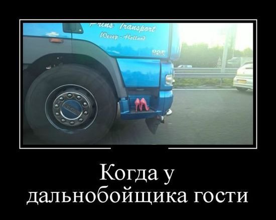 file_78501003