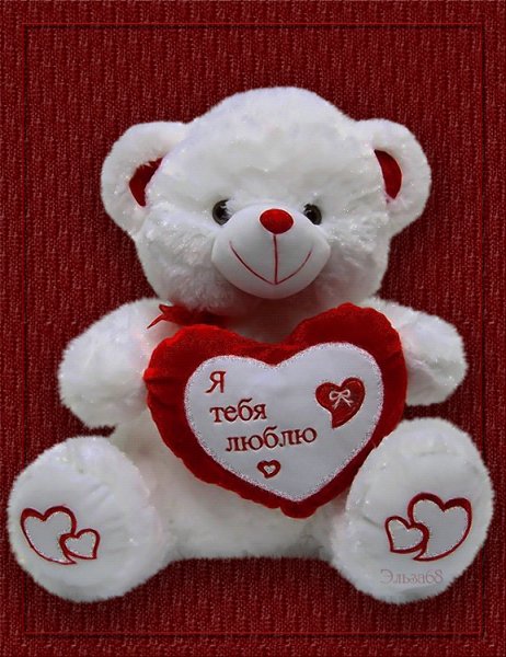 Я тебя люблю!