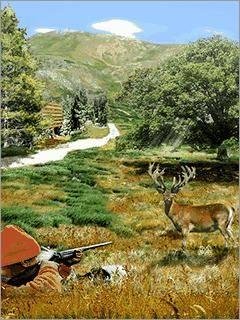 Hunting Mania 2 Nokia 360x640