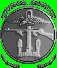 Commandossensoru.net240x400(sensor)