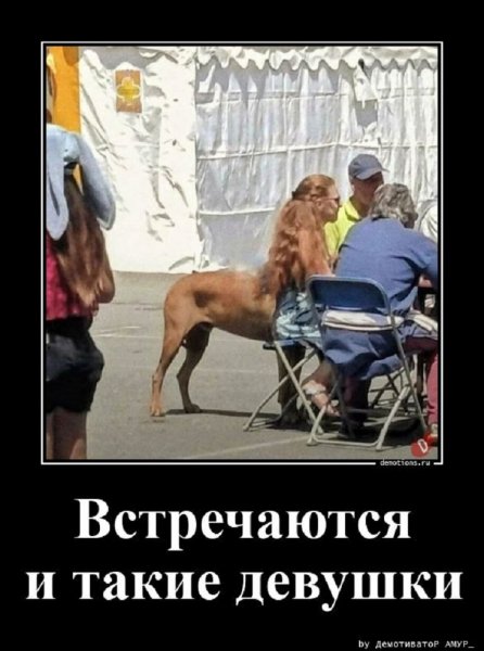 ПОКАЗАЛОСЬ