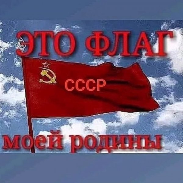 FB IMG 1754841305131