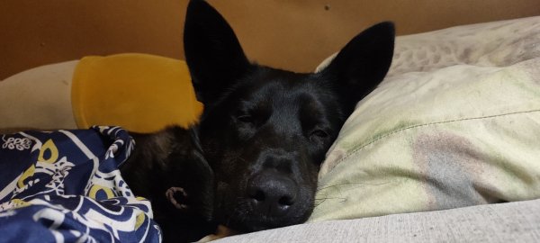 OKNNHYYGCFEEDX80G9D0