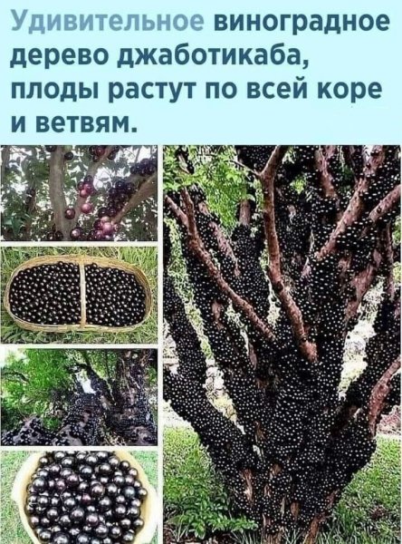 0c501a64-f6bb-4585-8def-e05ce2319923