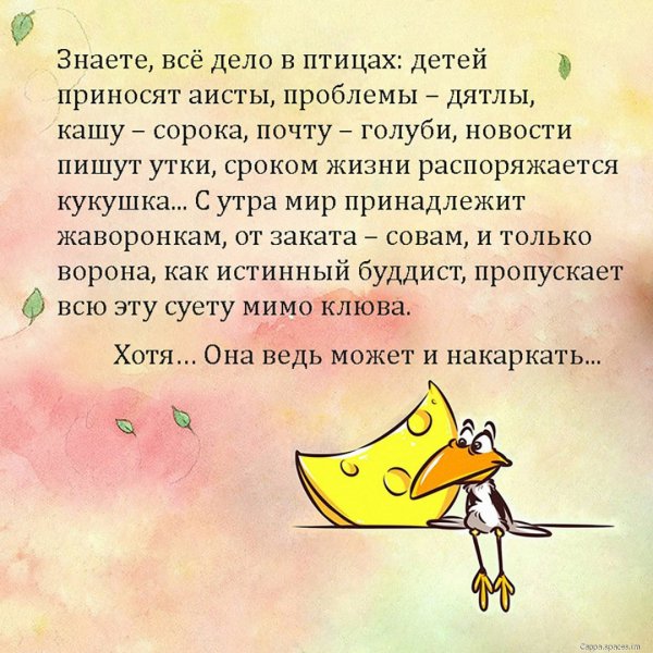 0LK4EDjzYpA-