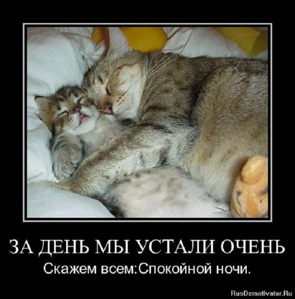 Спокойной ночи!