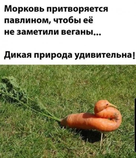 FB IMG 1777225927462