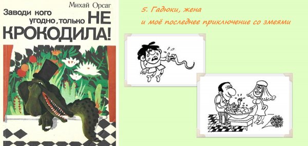5. ГАДЮКИ, ЖЕНА И МОЁ ПОСЛЕДНЕЕ ПРИКЛЮЧЕНИЕ СО ЗМЕЯМИ