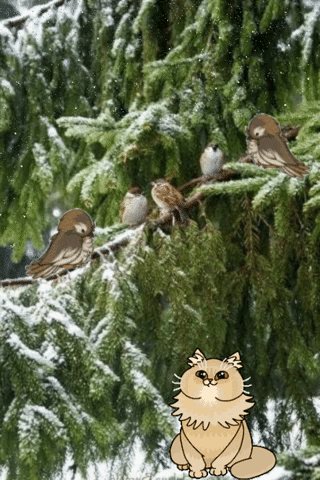file_75975323