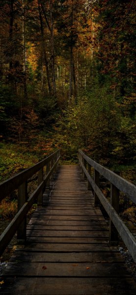 file_91599966