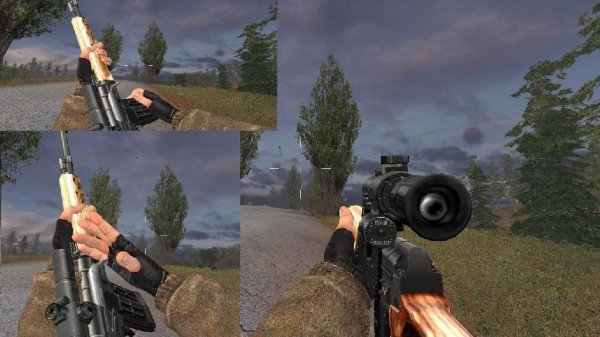 правозатворная свд