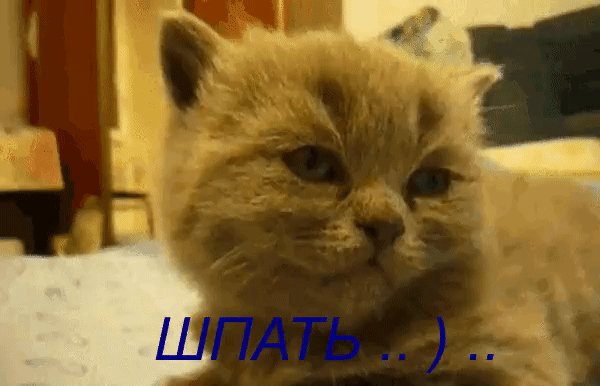 file_80523306