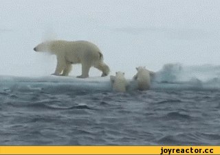 Умка)