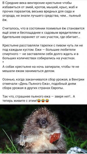 В Средние века венгерские