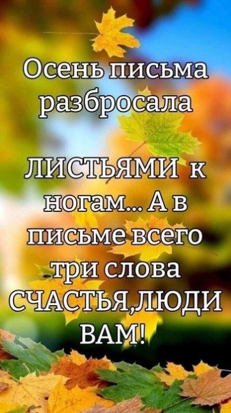 file_94791820