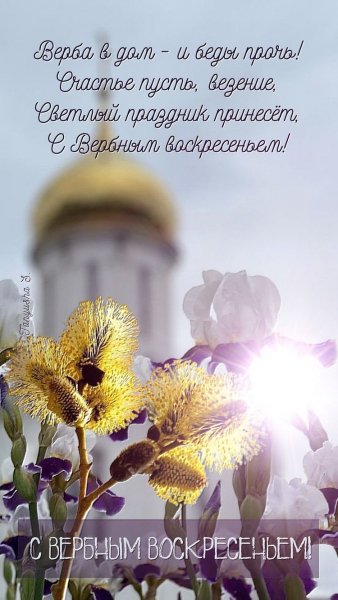 file_93260082